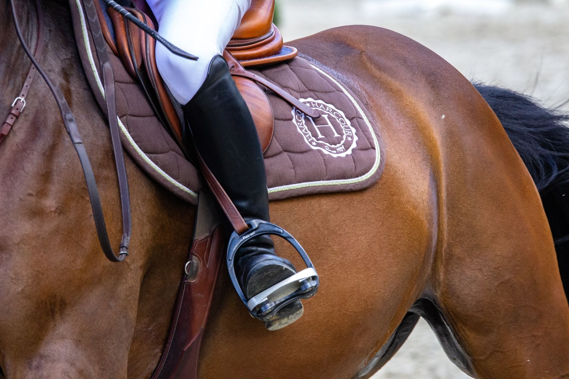 The Best Gifts for Horse Lovers