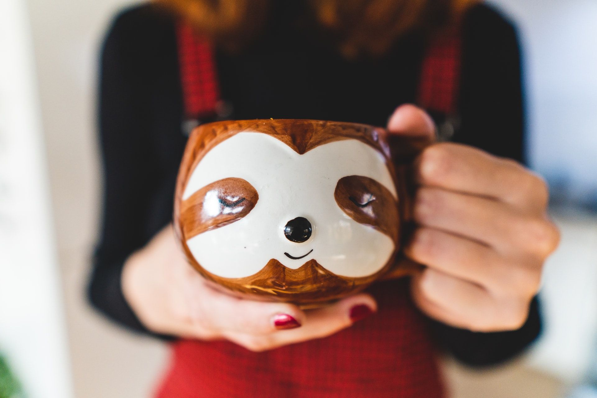 The Best Sloth Gifts